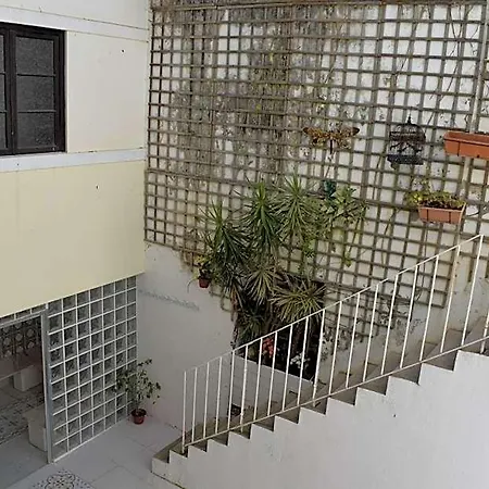 Sport *